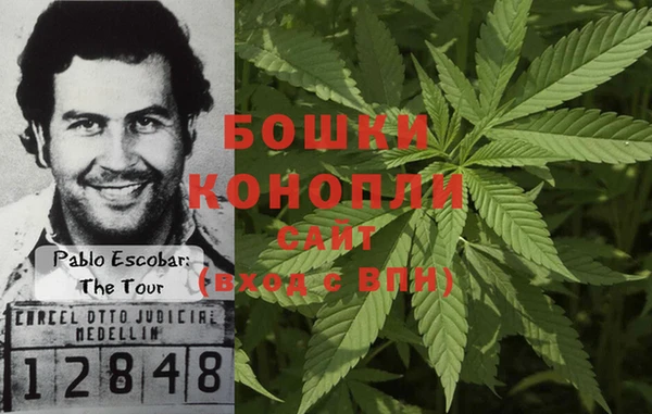 сатива Алексин