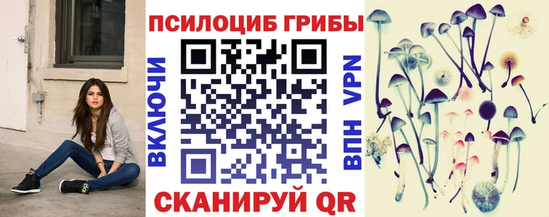 даркнет сайт  Серафимович  Галлюциногенные грибы Psilocybine cubensis 